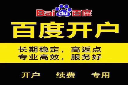 百度竞价排名案例：如何快速提升品牌知名度